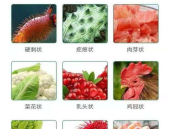 私密部位长疣,揭秘疣体成因与防治策略